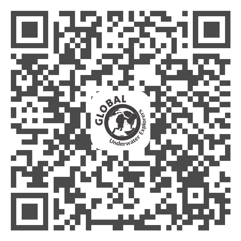 HiHello QR Code